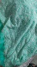 Beautiful handcrafted Chikankari full suit in faux Georgette by LVW Fashions, featuring intricate Lucknow-style embroidery.