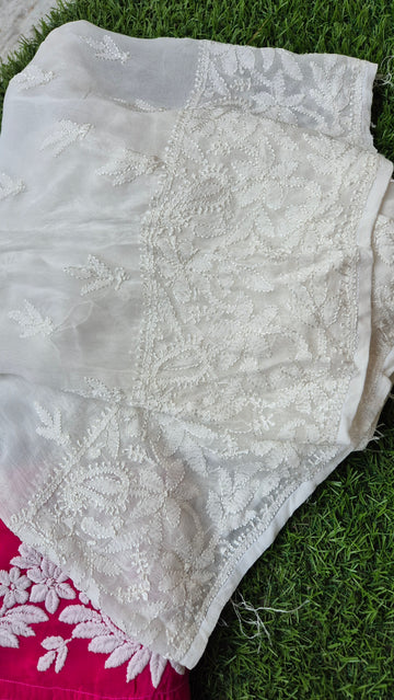Resham embroidery premium georgette palazzos with inner, dyeable fabric, by LVW Fashions, featuring traditional Lucknow Chikankari design.