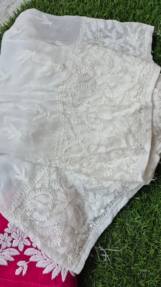 Resham embroidery premium georgette palazzos with inner, dyeable fabric, by LVW Fashions, featuring traditional Lucknow Chikankari design.