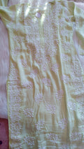 Feriha Pista premium cotton silk handcrafted Chikankari long kurta with intricate embroidery, traditional Lucknow Chikankari design.