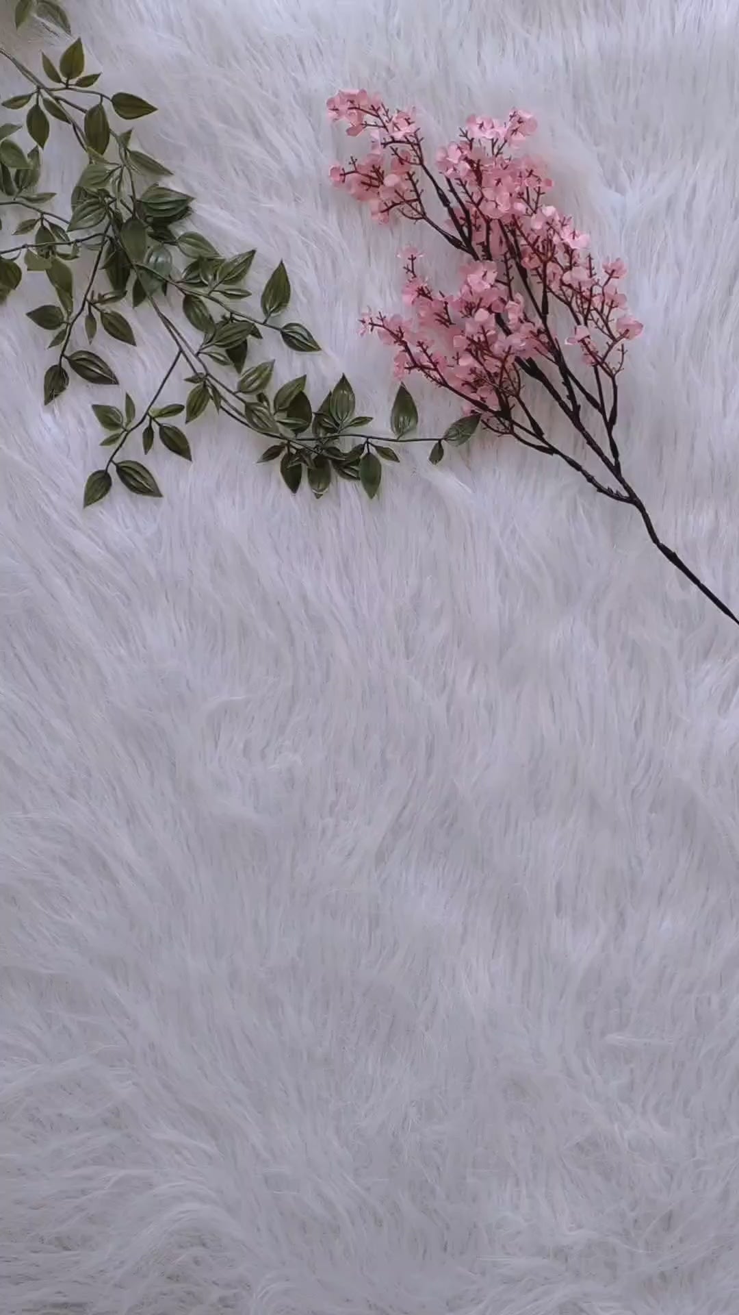 Afgani Chikankari Set 