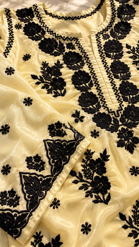 Arifa Tissue Silk Pure 3D Chikankari Kurta Set None transparent