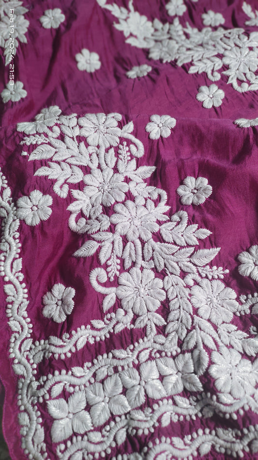 Janiye Beautiful silk Long Chikankari Kurta