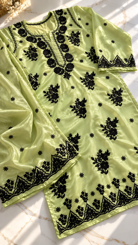 Arifa Tissue Silk Pure 3D Chikankari Kurta Set None transparent