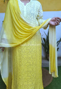 Emil Kurta Duptaa set with intricate Chikankari and Kamdani embroidery by LVW Fashion, showcasing detailed craftsmanship.