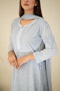 Gray Chikankari Gharara set by LVW Fashion Luxurious Look, featuring intricate embroidery and traditional styling.