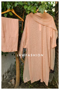 Powder peach georgette Chikankari suit by LVW Fashion, full set with intricate hand embroidery and traditional styling.