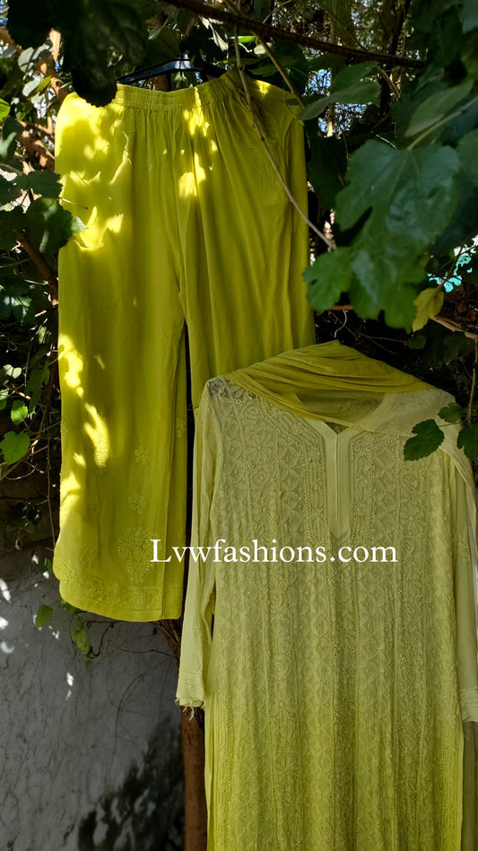 LVW Fashion luxurious chikankari 3-piece set with premium georgette fabric and silk long slip inner, showcasing intricate embroidery.