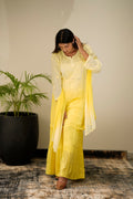 LVW Fashion luxurious Chikankari Pazeb Gharara set in premium georgette with intricate embroidery, styled for elegant traditional wear.